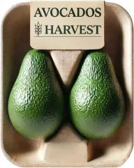 Avocados